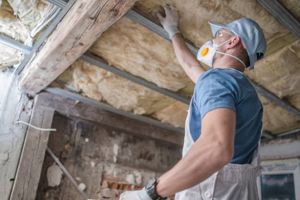 Best Residential Insulation in Emsworth, PA